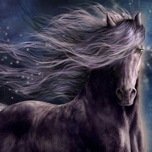 Meet your Posher, Crystal